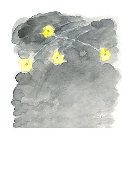 伴侶,看,向上,夜晚,天空