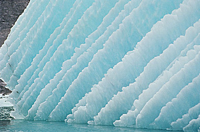 冰河湾国家公园图片