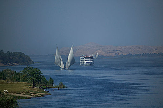 尼罗河,帆船,运输,埃及