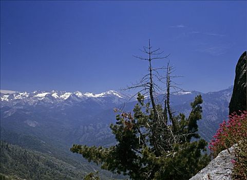 风景,北方,内华达山脉,阿尔泰,顶峰,加利福尼亚,美国