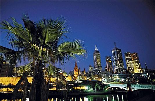 夜光,棕榈树,塔楼,天际线,墨尔本,维多利亚,澳大利亚