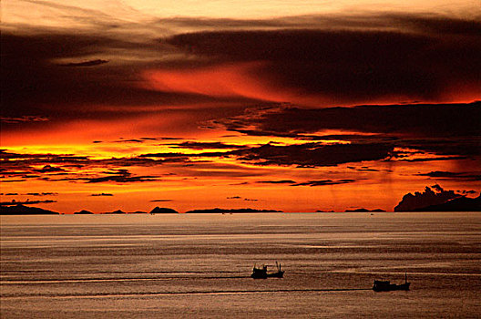 泰国,苏梅岛,日落,上方,海湾