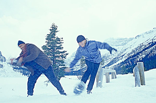 伴侣,雪鞋,玩,暴风雪,弓湖,班夫国家公园,加拿大,艾伯塔省