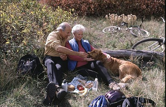 老年,夫妻,野餐,狗