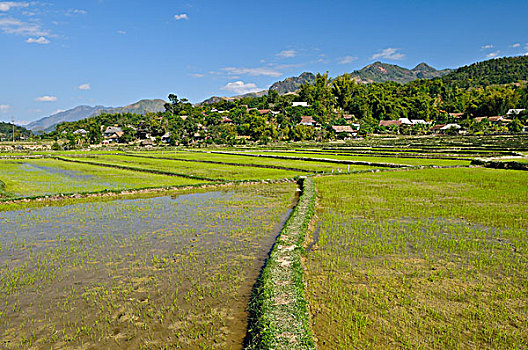 山谷,越南,亚洲