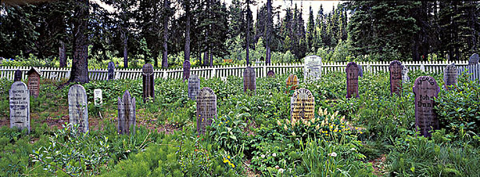 墓地,卡里布,淘金热,不列颠哥伦比亚省,加拿大