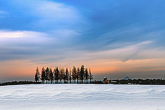 雪景