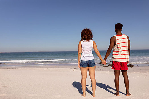 情侣,握手,站立,海滩,阳光