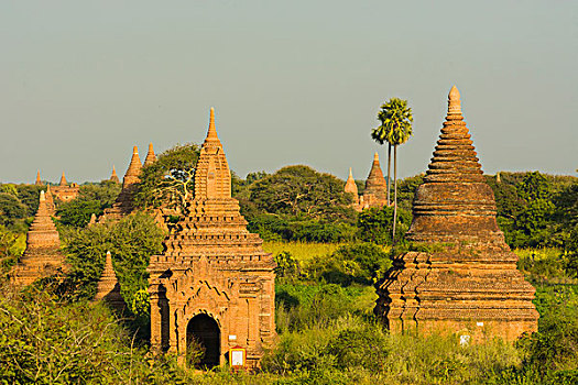 缅甸,蒲甘,风景,庙宇,朴素,佛塔,多