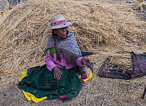 女人,特色,服饰,人口,的的喀喀,湖,区域,玻利维亚,南美
