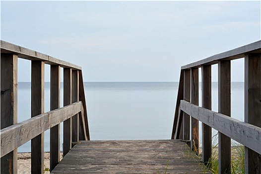 海岸