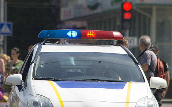 警车,汽车,红色,蓝色,警报器