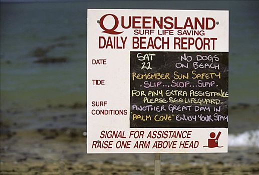 标识,海滩,手掌,小湾,靠近,昆士兰,澳大利亚