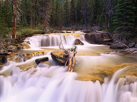班芙国家公园,艾伯塔省,加拿大
