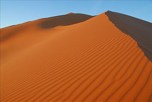 沙丘,沙漠,利比亚