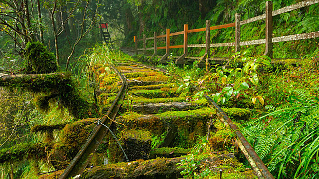 台湾宜兰县太平山见晴古道,是著名的旅游胜地