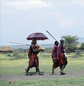 马萨伊勇士,传统服饰,长,缠结,矛,手,离开,牲畜,市场,坦桑尼亚北部,只有,传统,伞,马萨伊人,色调