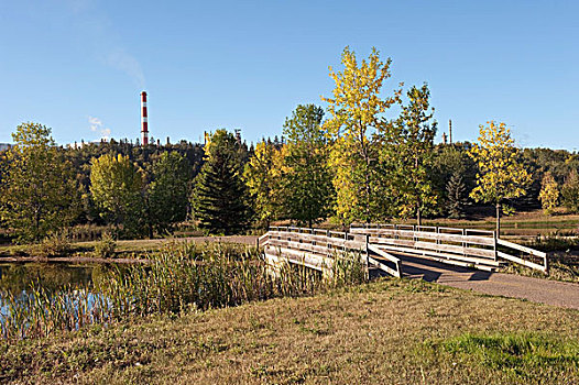 公园,艾伯塔省,加拿大