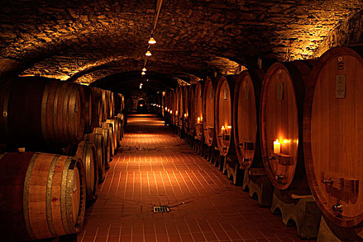 葡萄酒,地窖,木质,桶