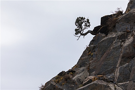 三江源自然保护区,尕朵觉沃神山,乡村旅游,长江源腹地