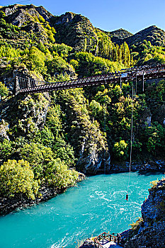 蹦极,跳跃,桥,上方,河,靠近,皇后镇,南岛,新西兰,大洋洲