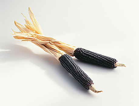 小,干燥,黑色,玉米棒子,意大利