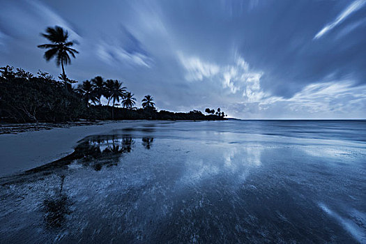 瓜德罗普,加勒比,法国,岛屿,热带,乐园,月亮,夜晚,蓝色,反射,海洋,水,手掌,海滩,沙子,云,风景,亮光,动感