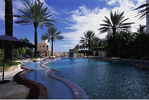 游泳池,棕榈树,迈阿密,佛罗里达,美国