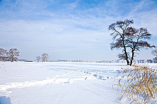 雾凇岛,冰雪,自然风光,吉林,龙潭区