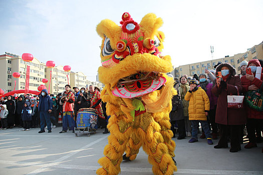 年货大集上醒狮欢腾,市民争相观看抚摸图个好彩头