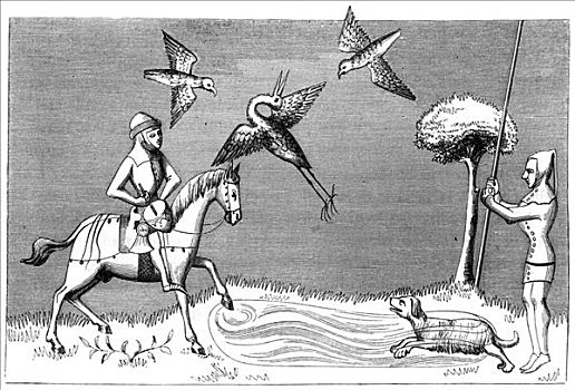 苍鹭,鹰猎,14世纪