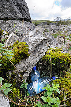 塑料制品,水瓶,小湾,约克郡溪谷国家公园,北约克郡,英格兰,英国,欧洲