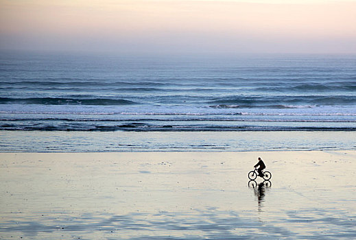 俯拍,骑自行车,骑,沙滩,海洋,黎明