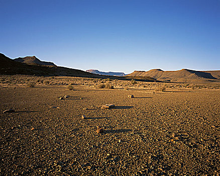 干燥地带,国家公园,西海角,南非,非洲