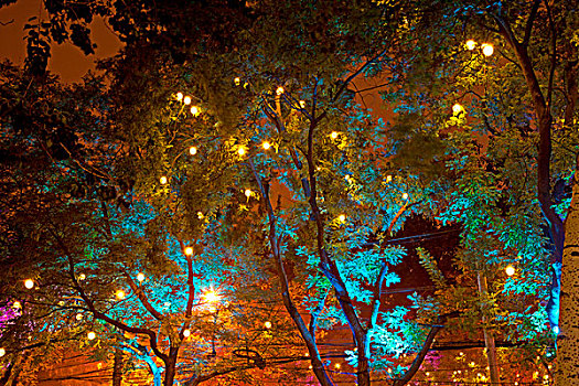 夜晚路边挂满五彩装饰灯的树