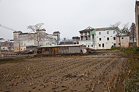 河源,和平,林寨古村落