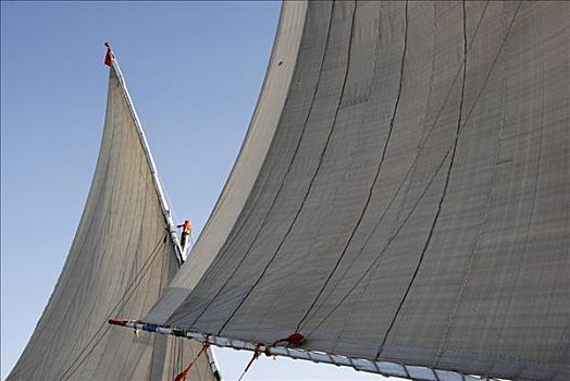三角形,帆,两个,三桅小帆船,帆船,尼罗河,阿斯旺,埃及