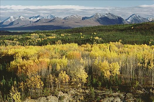 秋天,风景,德纳利国家公园和自然保护区,阿拉斯加