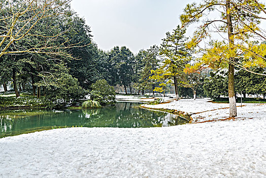 杭州太子湾公园,雪景