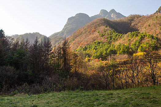 秦岭山秋景