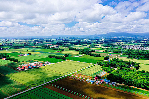 航拍,城镇,北海道,日本