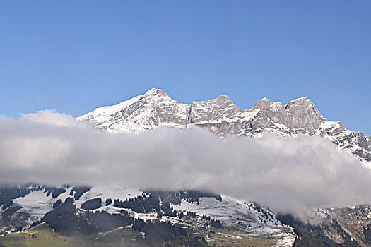阿尔卑斯山铁力士峰