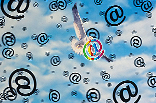 概念,插画,白色,鸽子,飞,云,互联网,象征,标识