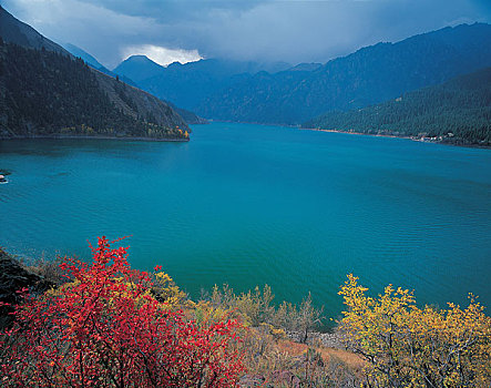 场景,湖,新疆