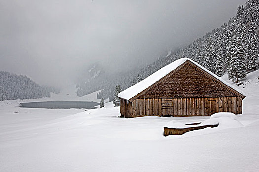 高山,小屋,冬天,背影,看,瑞士,欧洲