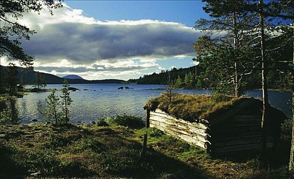 小屋,房子,湖岸,南方,挪威,斯堪的纳维亚,欧洲