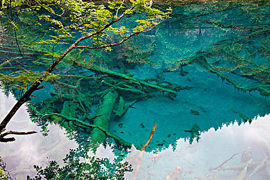 九寨沟五花海风景