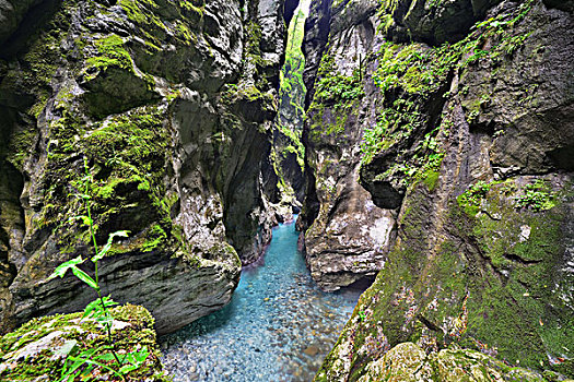 河流,峡谷,斯洛文尼亚