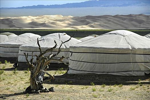 蒙古包,露营,戈壁沙漠,国家公园,蒙古,亚洲