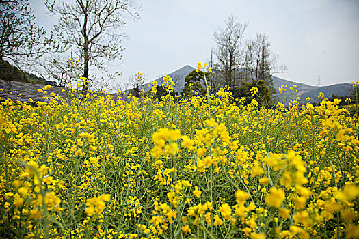 舟山市南洞风景区